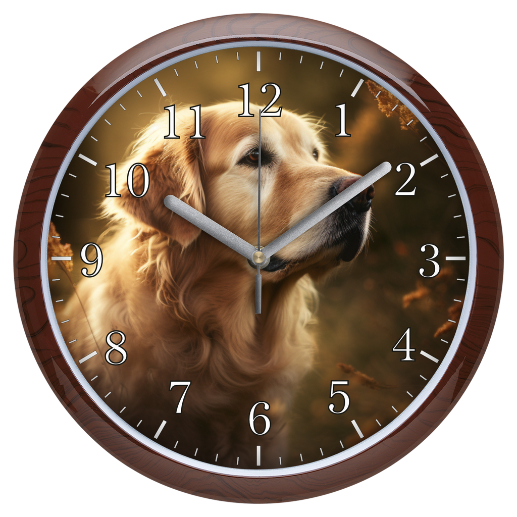 Golden retriever falióra