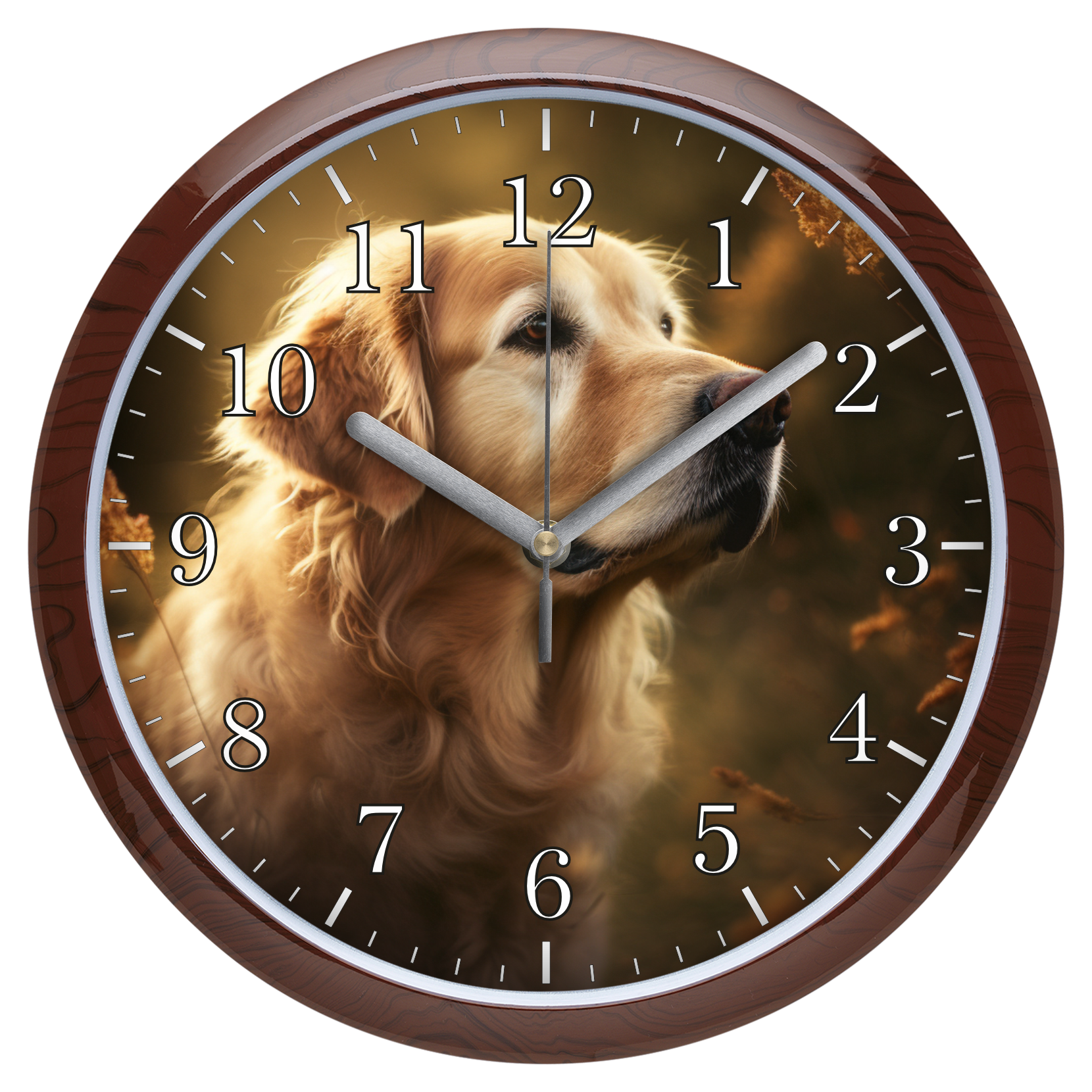 Golden retriever falióra