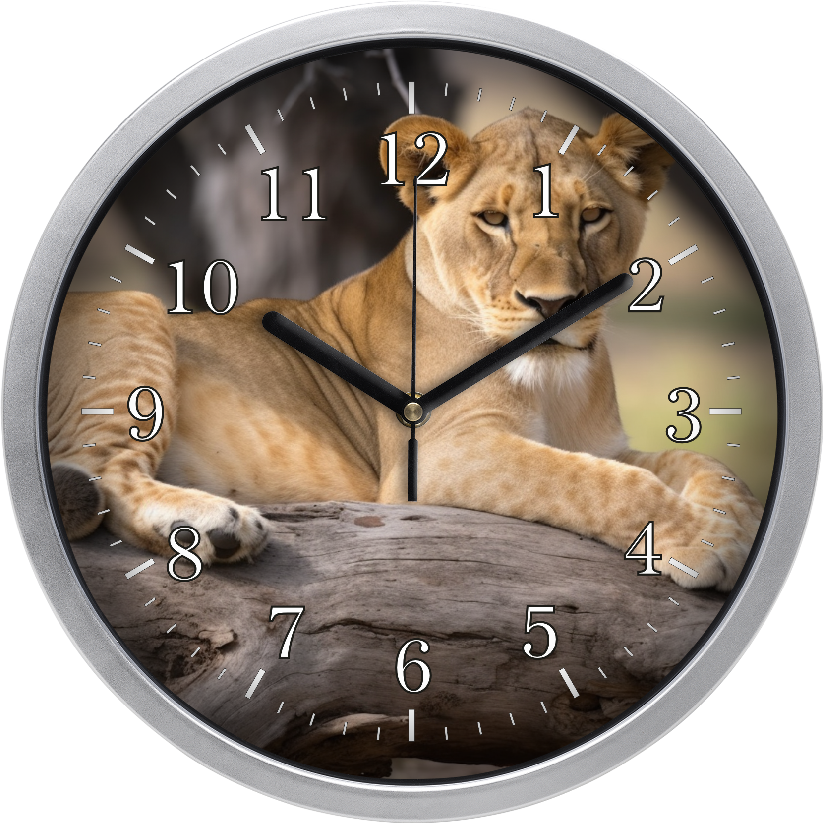 Nőstény oroszlán falióra