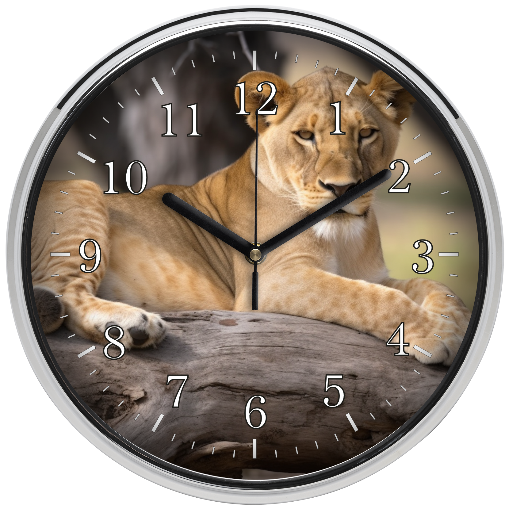 Nőstény oroszlán falióra