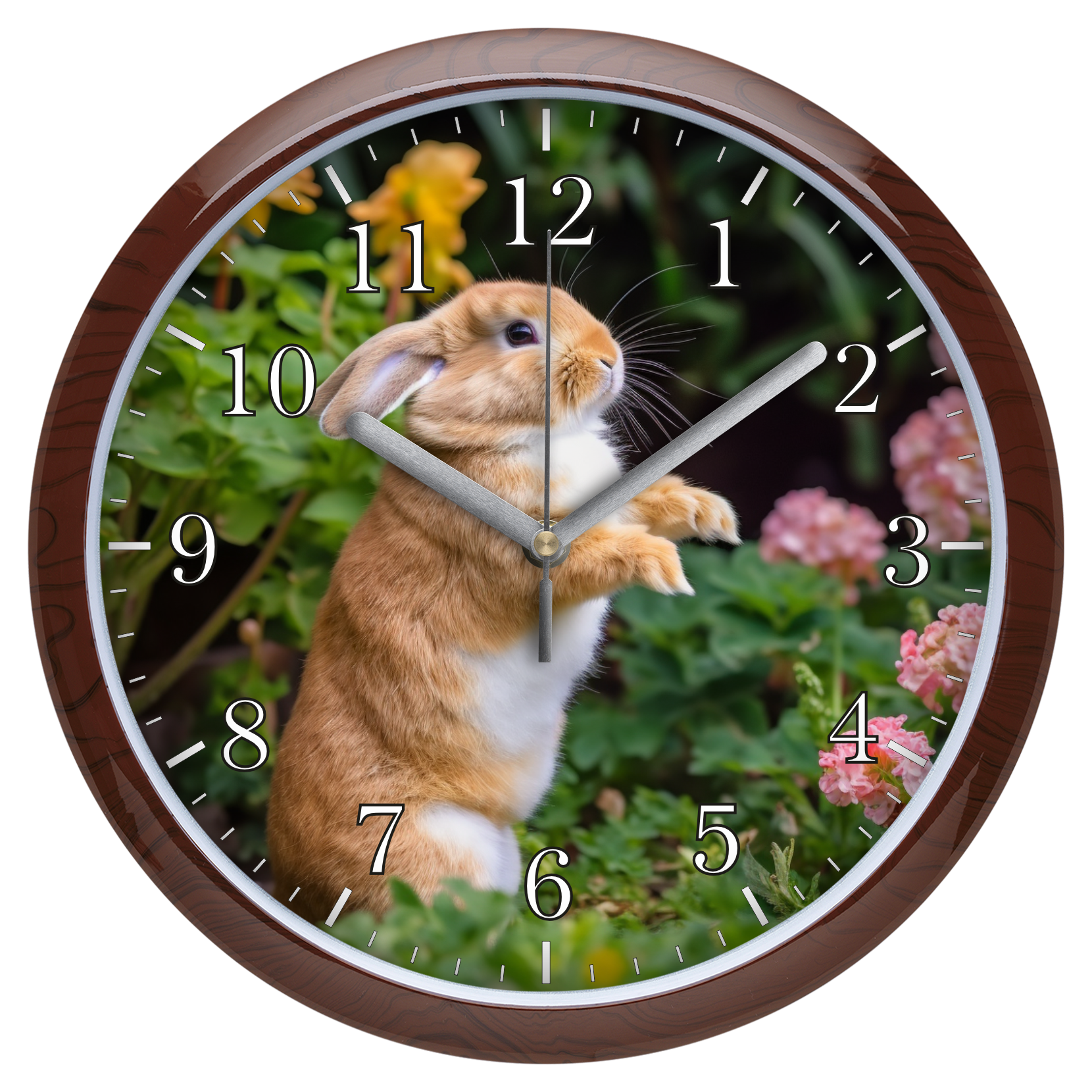 Tapsifüles falióra