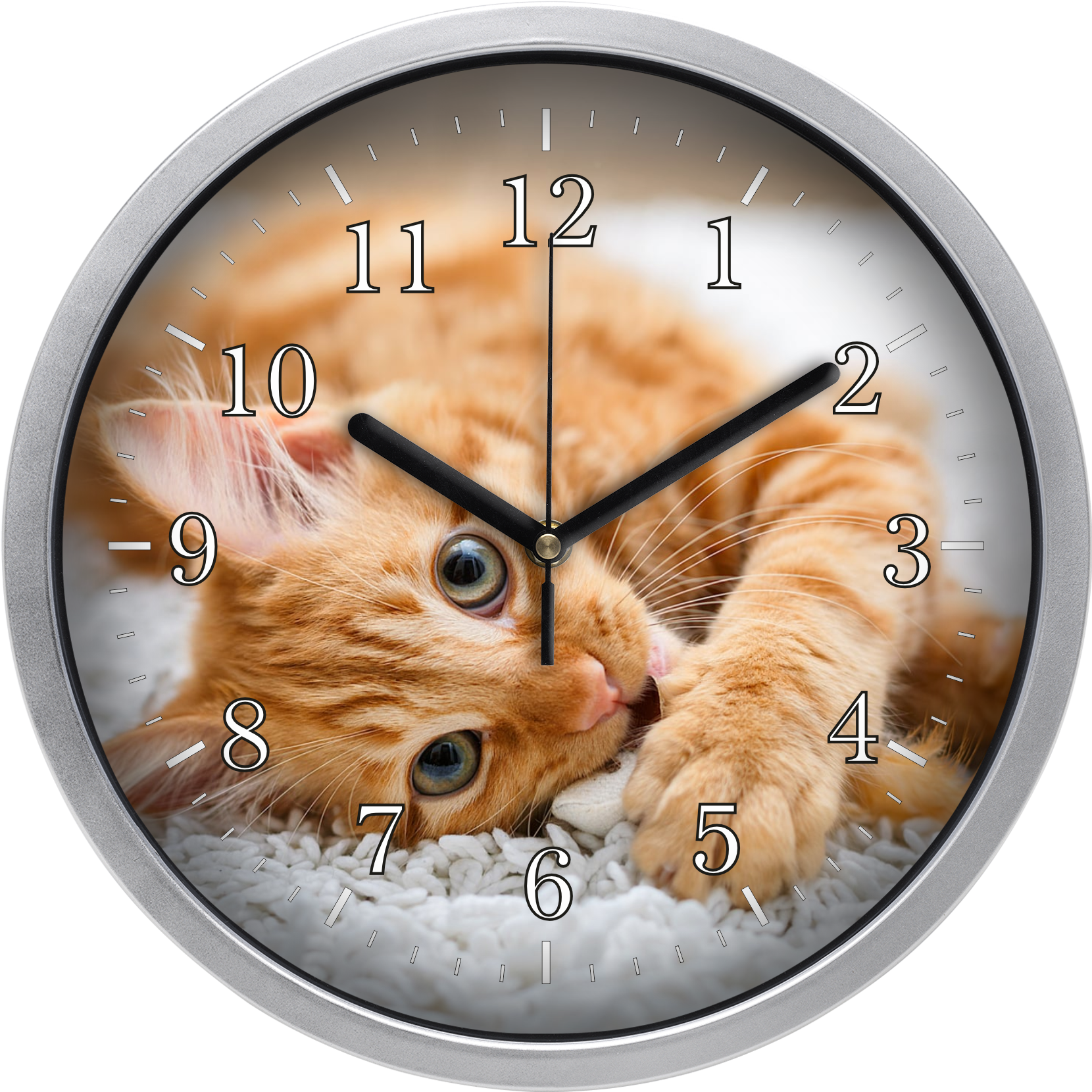 Vörös cica falióra