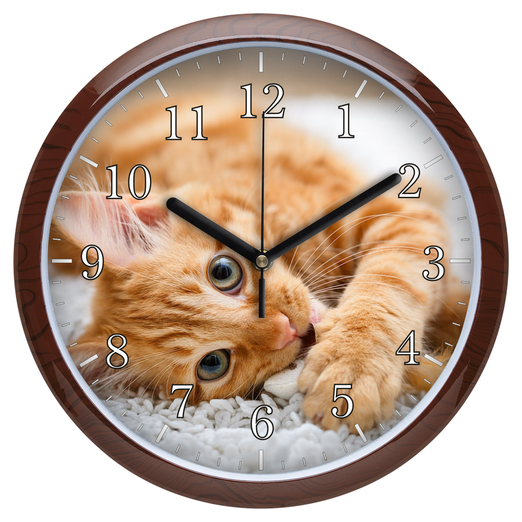 Vörös cica falióra