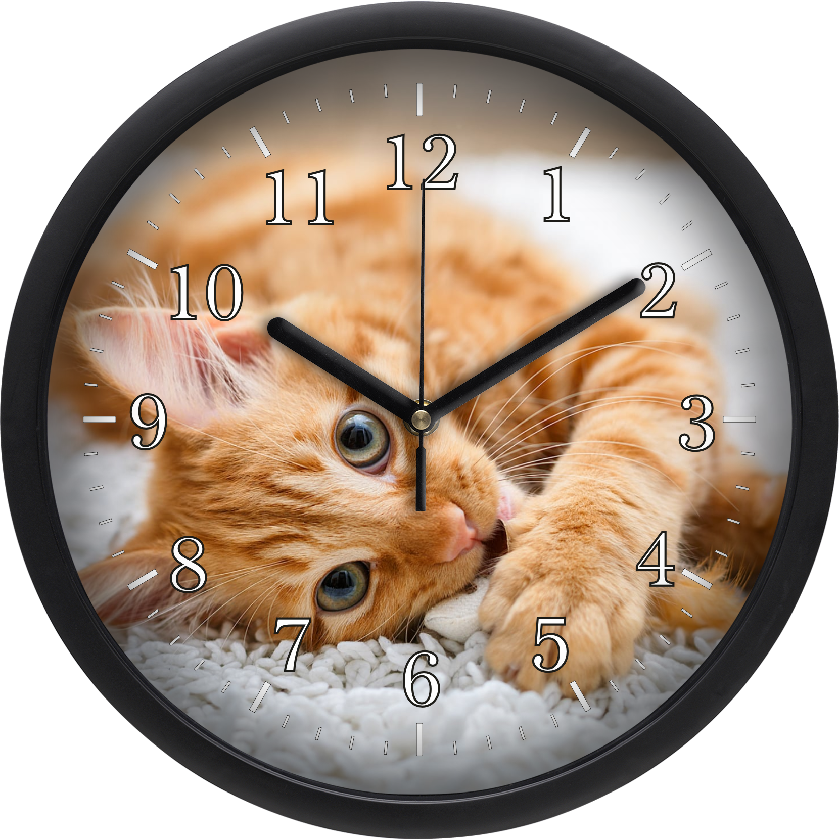 Vörös cica falióra