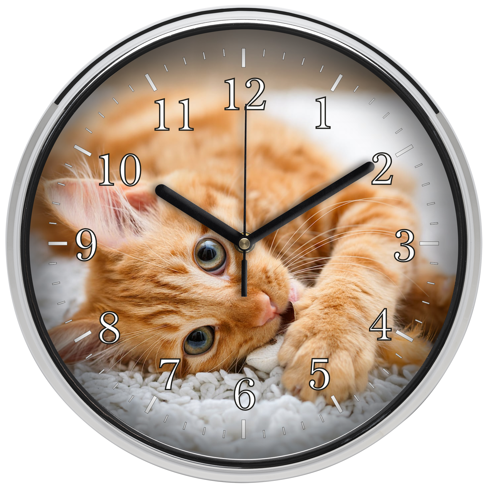 Vörös cica falióra