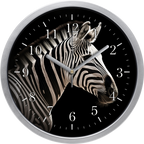 Zebra falióra