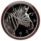 Zebra falióra