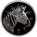 Zebra falióra