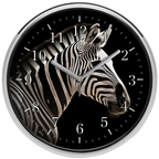 Zebra falióra