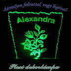 Egyedi ajándék: dekorlámpa