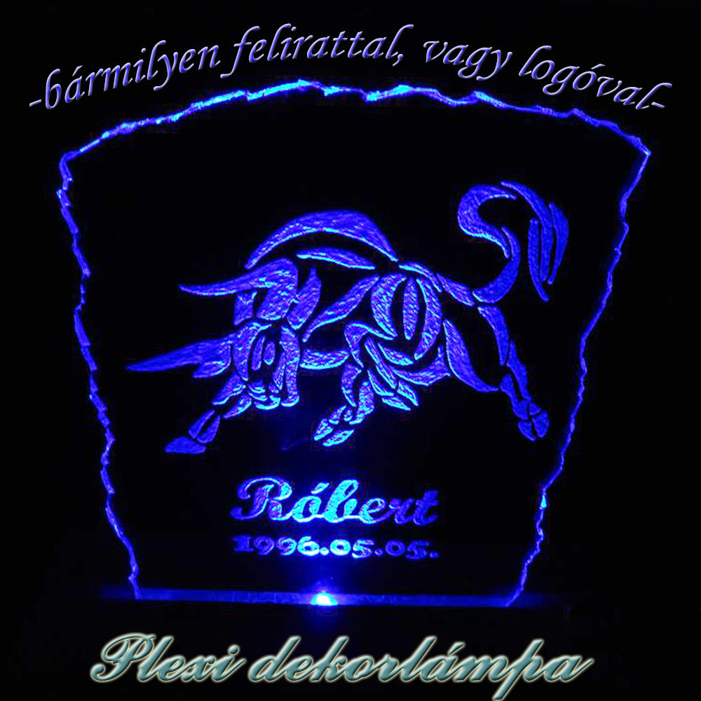 Horoszkópos dekorlámpa